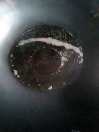 酱拌木耳的做法步骤5